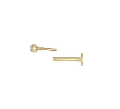 Dainty Ball Screwback Stud