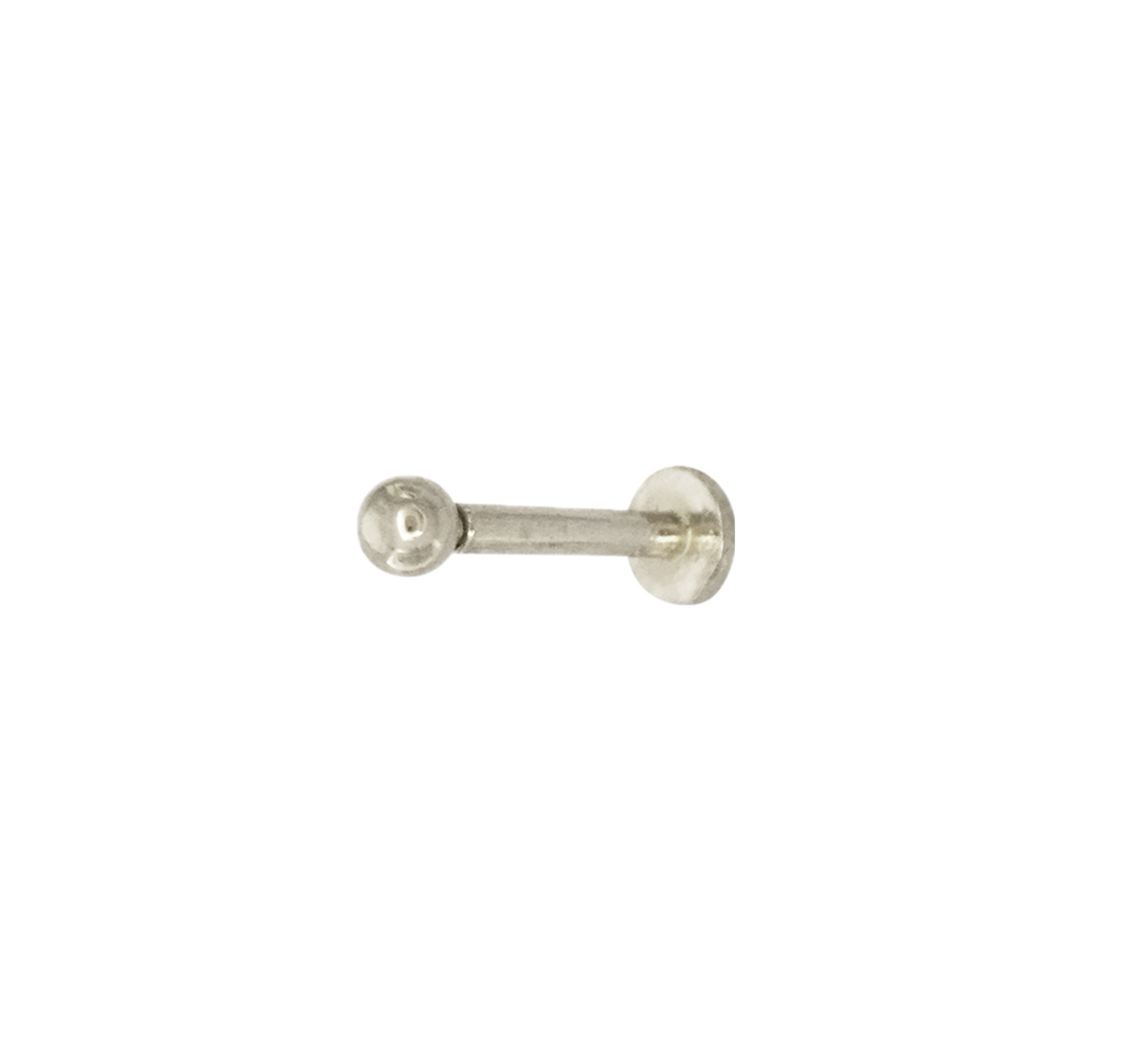 Dainty Ball Screwback Stud